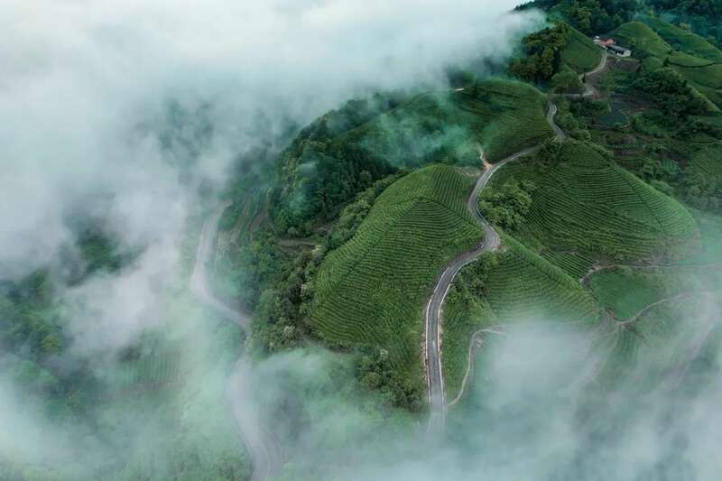 湄潭：贵州高原上的茶叶奇迹