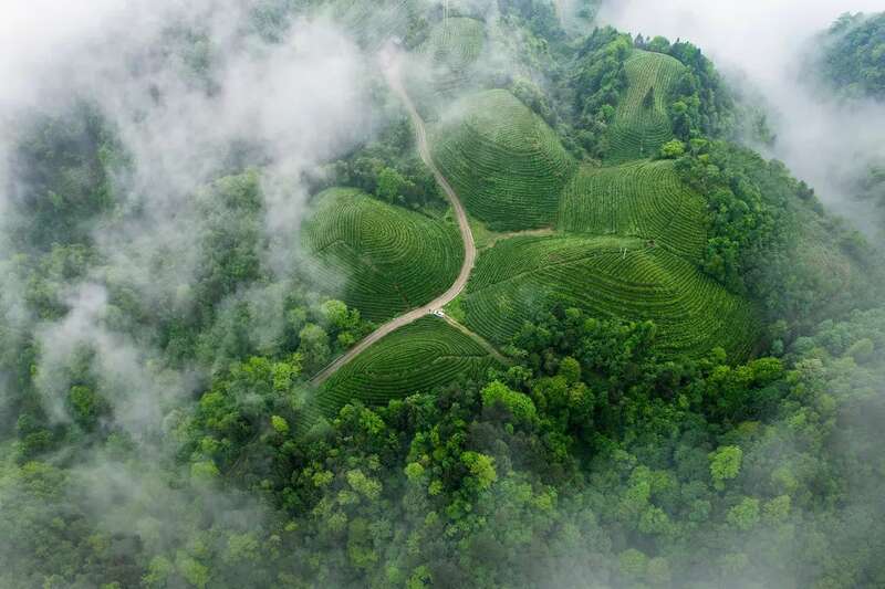 湄潭：贵州高原上的茶叶奇迹