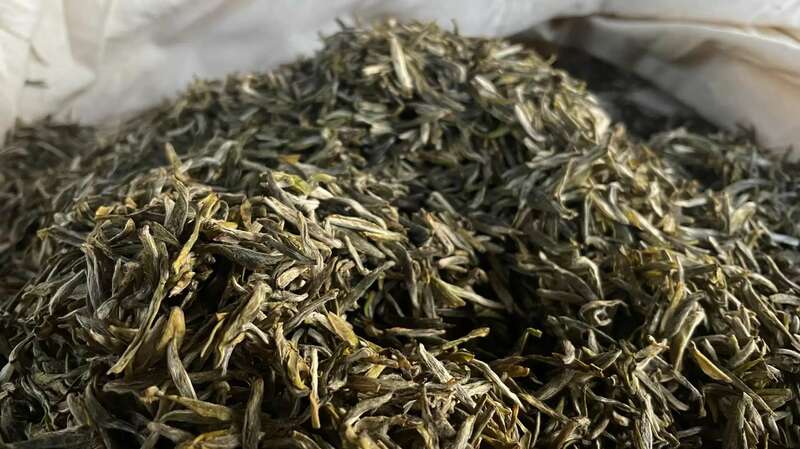 黄茶加工工艺及功效研究进展