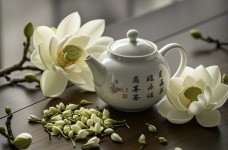 白兰花茶窨制工艺与审评