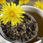 蒲公英茶功效与冲泡方法详解