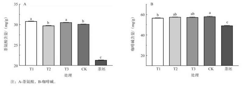 传统工艺耗时耗力，茉莉花茶窨制如何焕发新生？