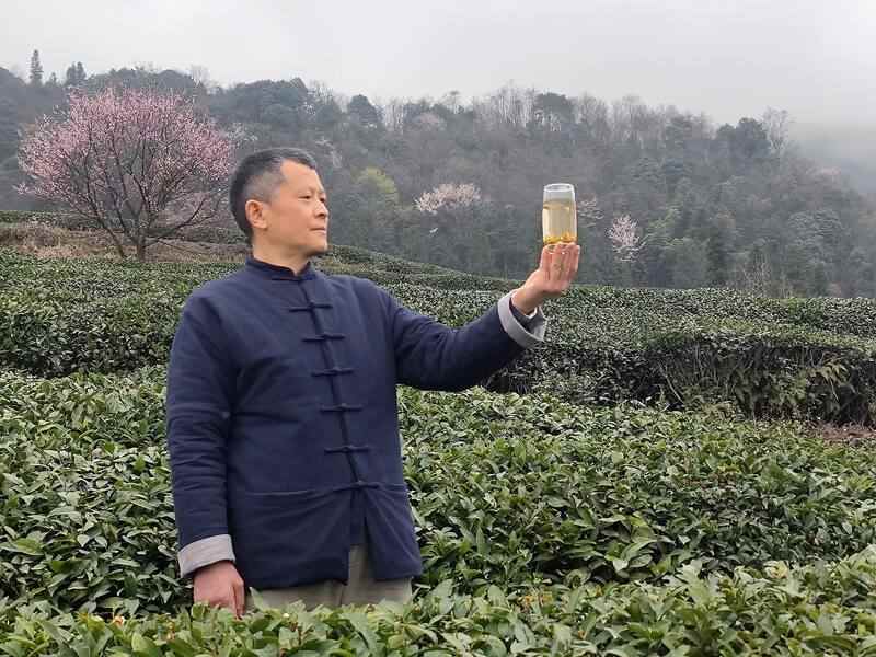 非遗技艺：指尖上的“黄芽密码”