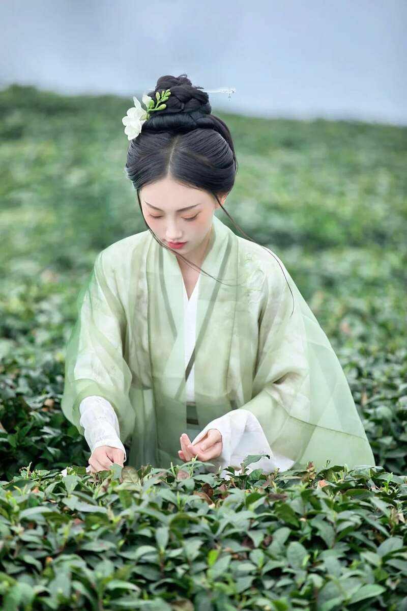 来不来雅安喝茶？回答我！