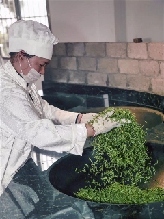 来不来雅安喝茶？回答我！