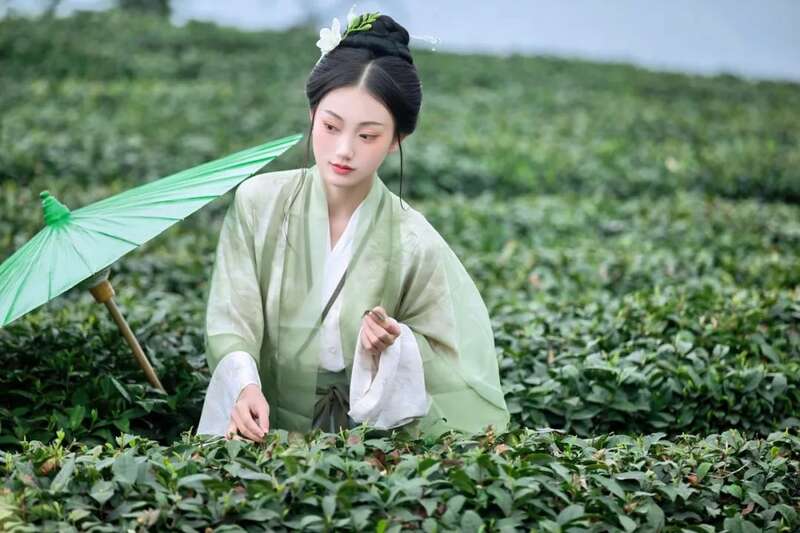 来不来雅安喝茶？回答我！