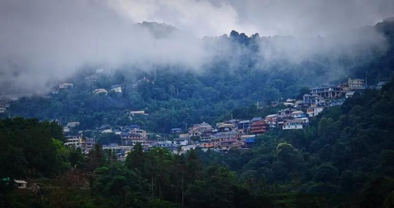 全球古茶第一村南糯山800多年茶王开采仪式：探寻千年古茶魅力，共赴春日茶韵之约