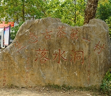 易武茶区落水洞的台地茶之谜