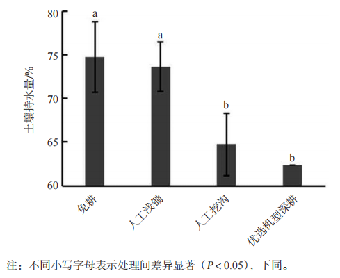 选用哪种耕作方式有利于提升春茶品质？