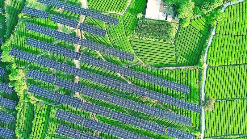 茶园光伏技术应用研究进展与展望