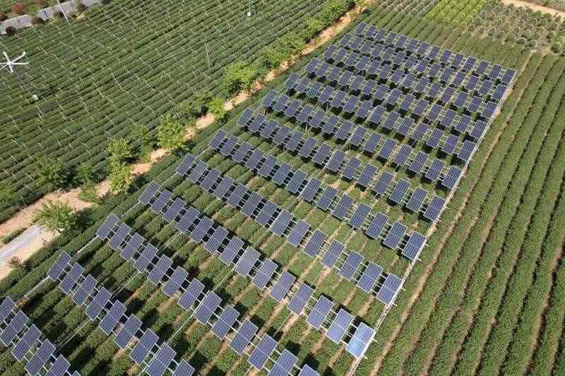 茶园光伏技术应用研究进展与展望