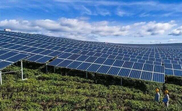 茶园光伏技术应用研究进展与展望