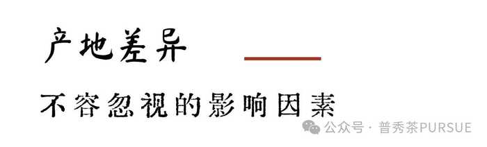  闻茶香识年份，真的？假的？