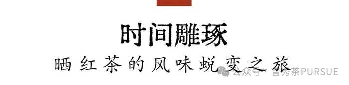 晒红茶的保质期