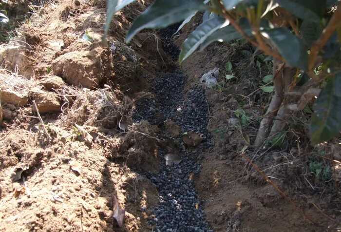 低产低效茶园改造技术研究