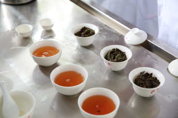 2024年我国乌龙茶品质与加工技术研究进展