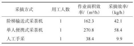 阶梯输送式采茶机实现采摘效率与质量双保证