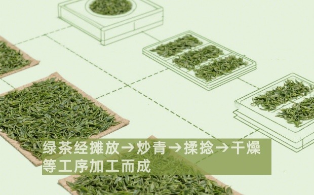 中国各类绿茶加工工艺及品质特征.jpg