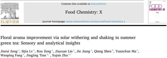 借鉴乌龙茶工艺，加工花香绿茶