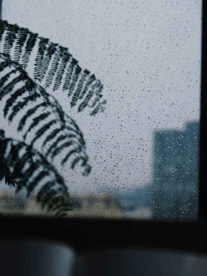 雨天泡茶总欠点滋味？几招让你轻松拿捏！