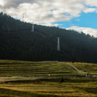 藏茶制作工艺与保健功效解析