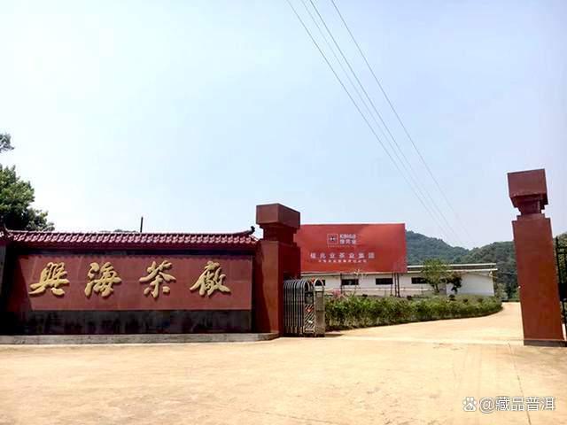 2003景迈生态茶301 vs 302批次品鉴指南