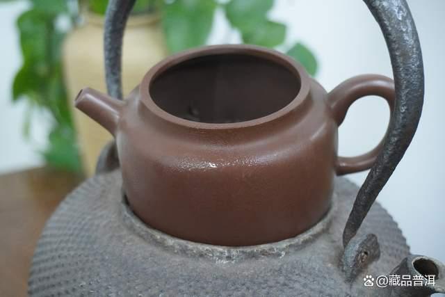 普洱茶醒茶技巧：冲泡前的必要准备与正确方法