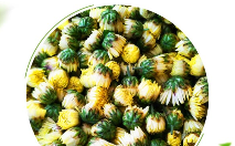 菊花茶.png