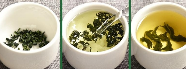 蒲公英茶品茗指南.png