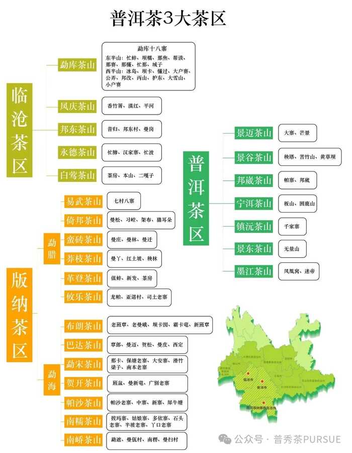 普洱三区鉴茶图鉴：解码思茅、版纳、临沧茶本质