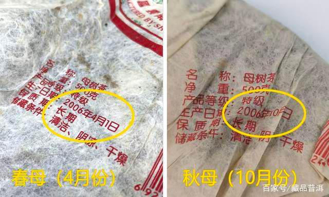 勐库戎氏母树茶好不好？经典2006年勐库戎氏春母、秋母对比
