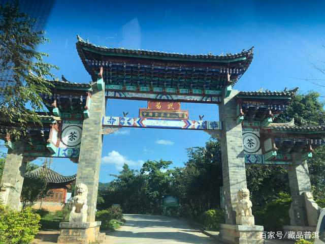 易武三大名茶产区：易武麻黑、刮风寨、薄荷塘，都有什么特点？