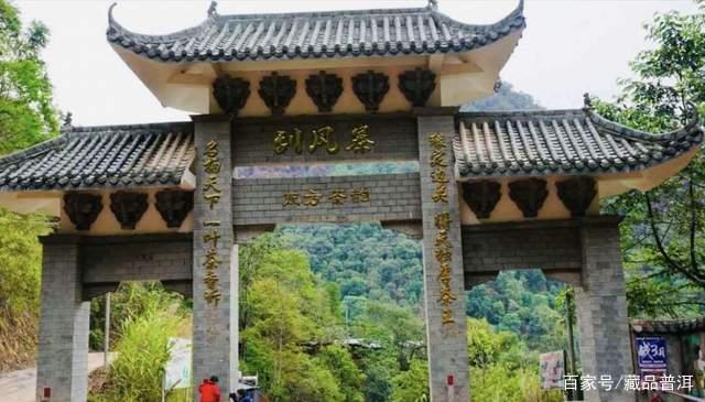 易武三大名茶产区：易武麻黑、刮风寨、薄荷塘，都有什么特点？