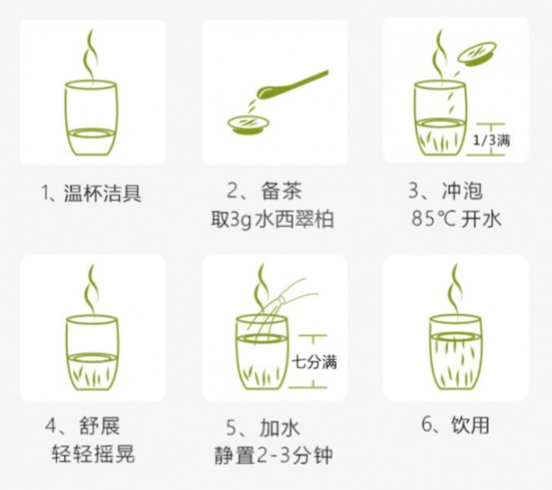 水西翠柏的冲泡方法.jpg