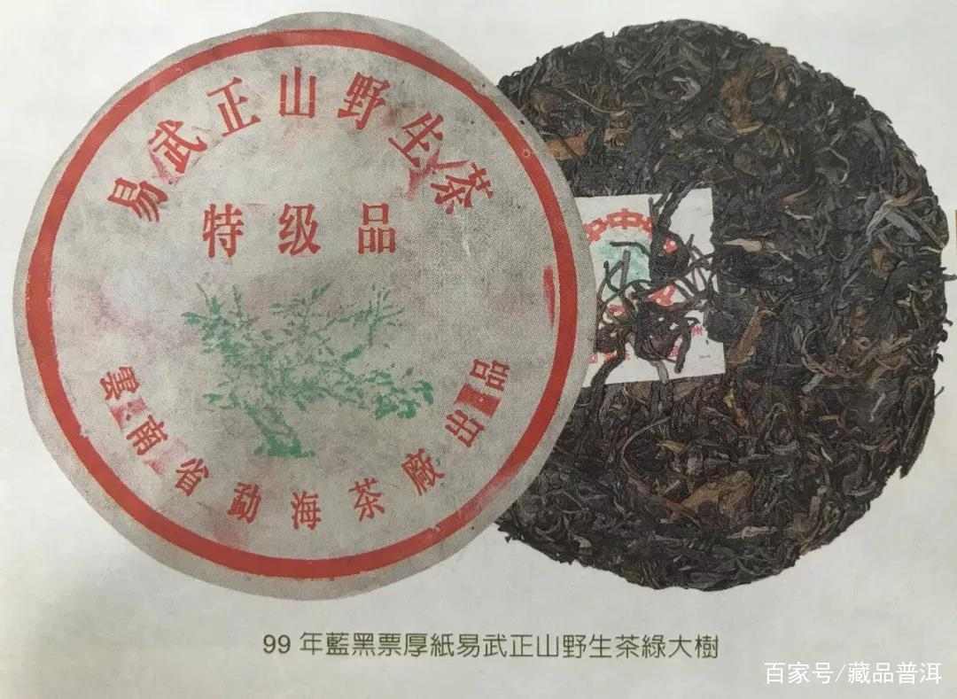 绿大树易武正山野生茶，4大族系茶品如何辨别？这些细节请认清