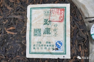 06年勐库母树茶春母，早年冰岛料压制，到底好不好？开汤审评来了