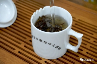 06年勐库母树茶春母，早年冰岛料压制，到底好不好？开汤审评来了