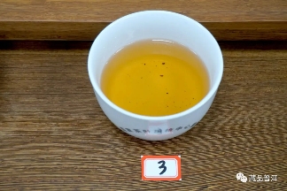 06年勐库母树茶春母，早年冰岛料压制，到底好不好？开汤审评来了