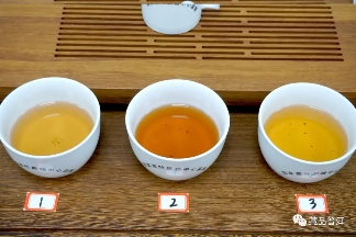 06年勐库母树茶春母，早年冰岛料压制，到底好不好？开汤审评来了