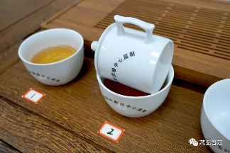 06年勐库母树茶春母，早年冰岛料压制，到底好不好？开汤审评来了