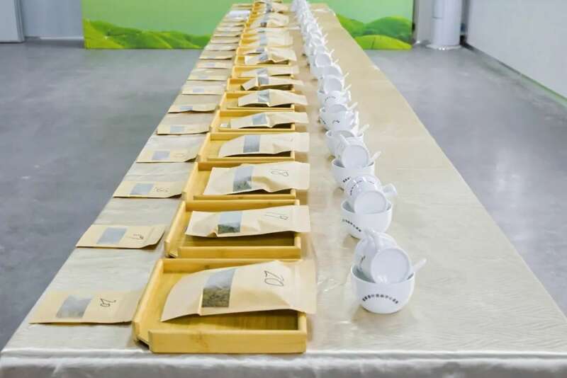 第二届“纳溪特早茶杯” 斗茶大赛：茶香四溢，共鉴匠心