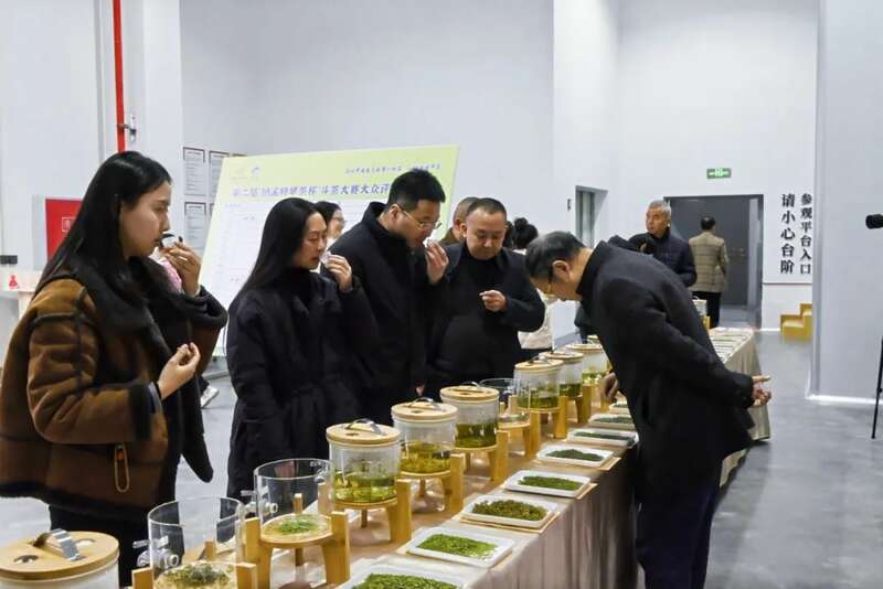 第二届“纳溪特早茶杯” 斗茶大赛：茶香四溢，共鉴匠心