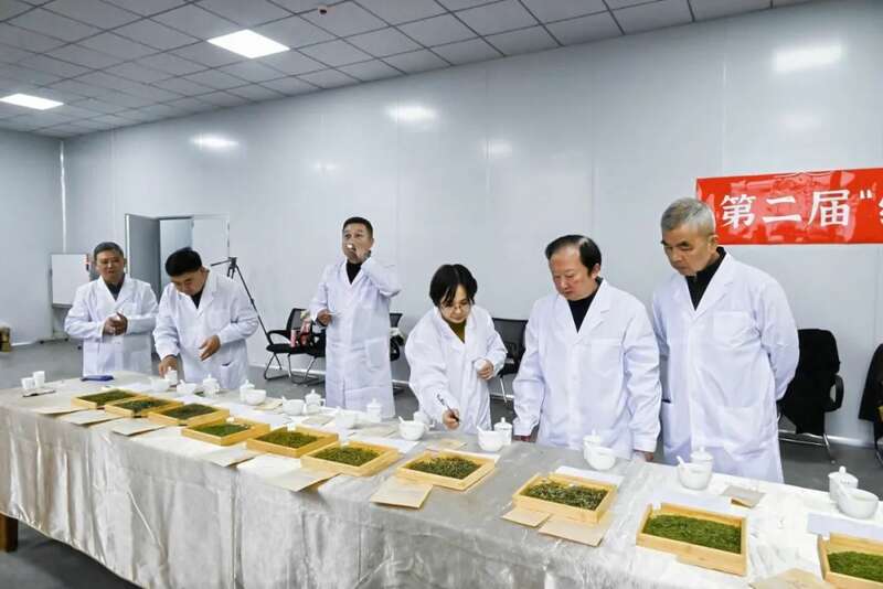 第二届“纳溪特早茶杯” 斗茶大赛：茶香四溢，共鉴匠心