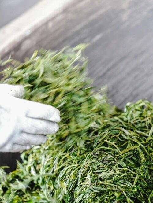 下关金丝沱茶 二十年经典再现，一缕金丝，万重茶香！