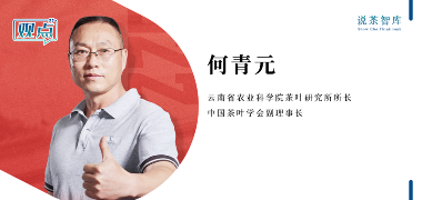 2025春茶采摘时间表一览