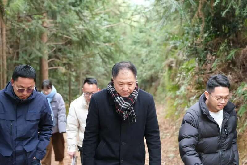 “生态既是责任也是承诺”   福鼎白茶共同组建生态茶园联谊平台