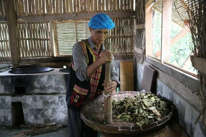 世界的普洱·中国的茶——普洱景迈山茶 非遗技艺制茶 赋能茶产业发展