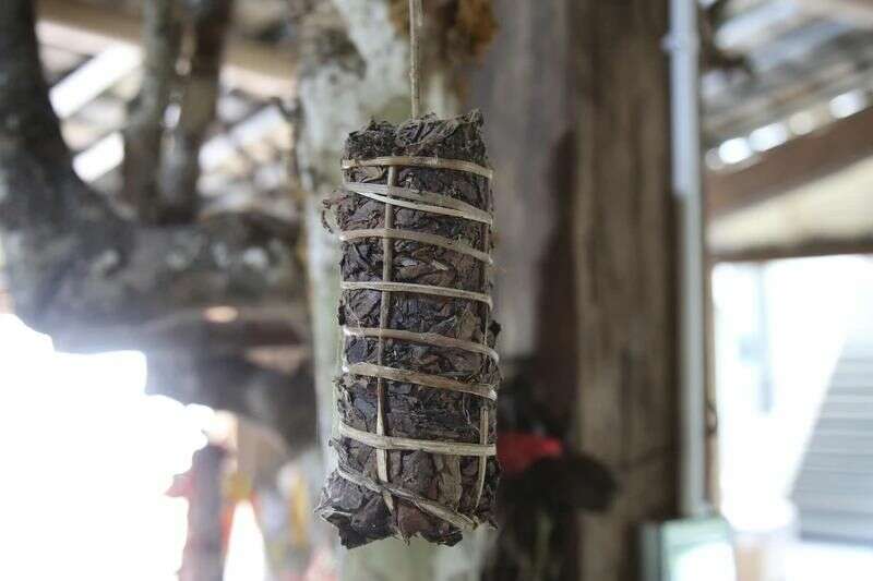 世界的普洱·中国的茶——普洱景迈山茶 非遗技艺制茶 赋能茶产业发展