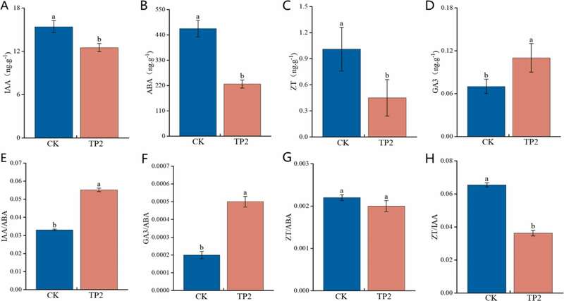 川农大茶学系：转录组学揭示打顶处理对茶树幼苗生长的影响