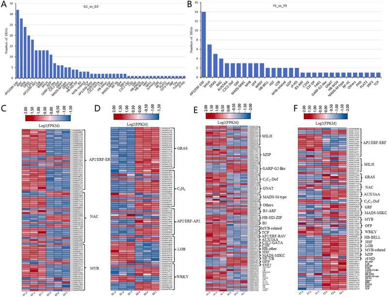 川农大茶学系：转录组学揭示打顶处理对茶树幼苗生长的影响